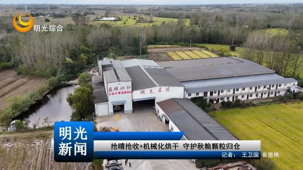 [20261029]抢晴抢收+机械化烘干 守护秋粮颗粒归仓
